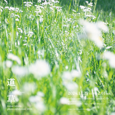 comingsoon・2024.11.29(fri)-12.01(sun)『道草 nanae tahara photo exhibition 2024』